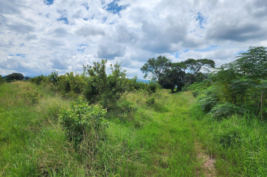 Commercial Property for Sale in Levubu Limpopo