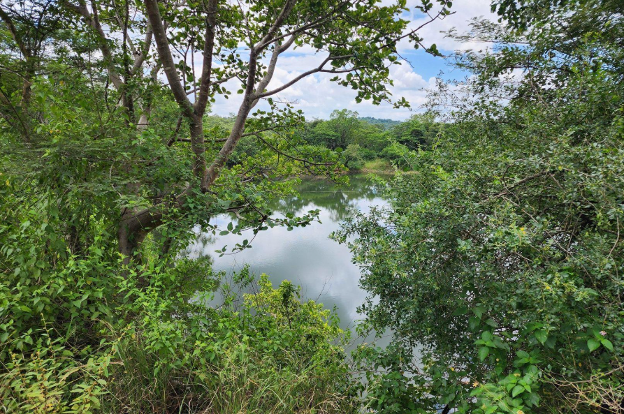 Commercial Property for Sale in Levubu Limpopo