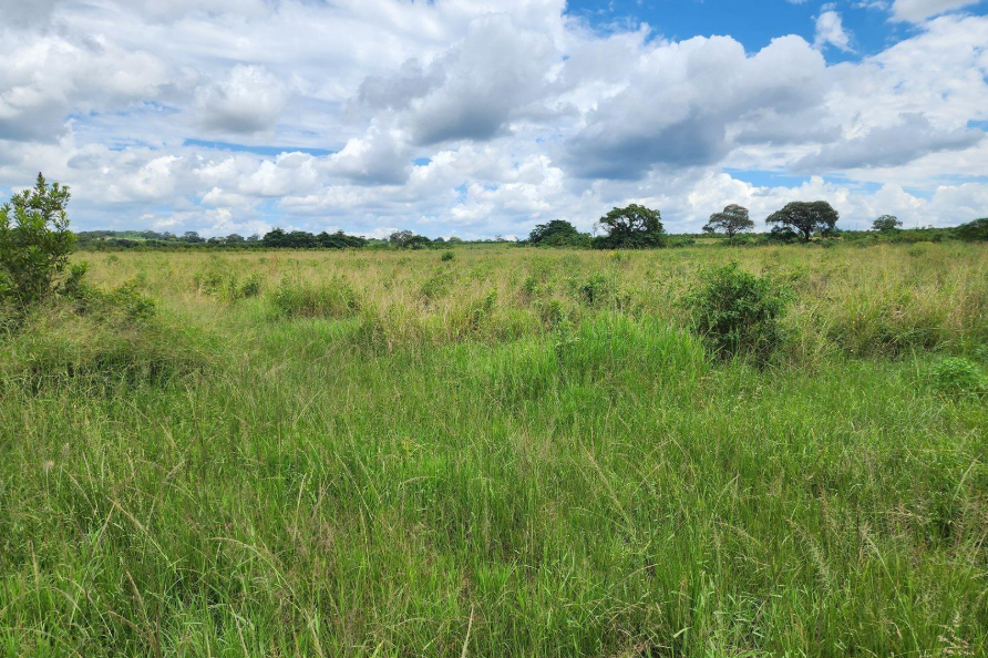 Commercial Property for Sale in Levubu Limpopo