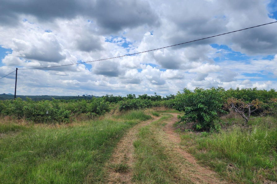 Commercial Property for Sale in Levubu Limpopo