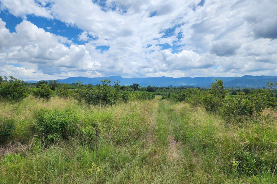 Commercial Property for Sale in Levubu Limpopo