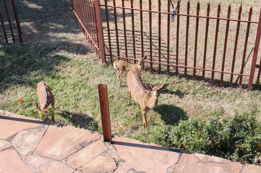 4 Bedroom Property for Sale in Bela Bela Limpopo