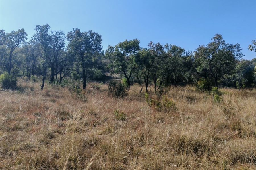 4 Bedroom Property for Sale in Bela Bela Limpopo