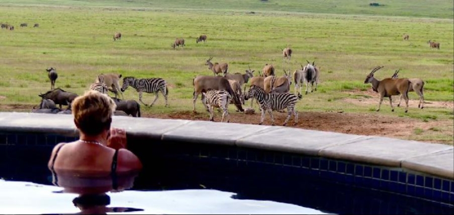 Commercial Property for Sale in Welgevonden Game Reserve Limpopo