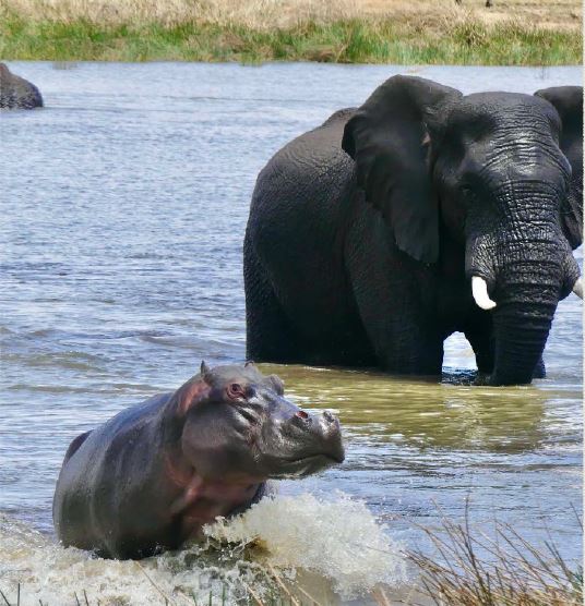 Commercial Property for Sale in Welgevonden Game Reserve Limpopo