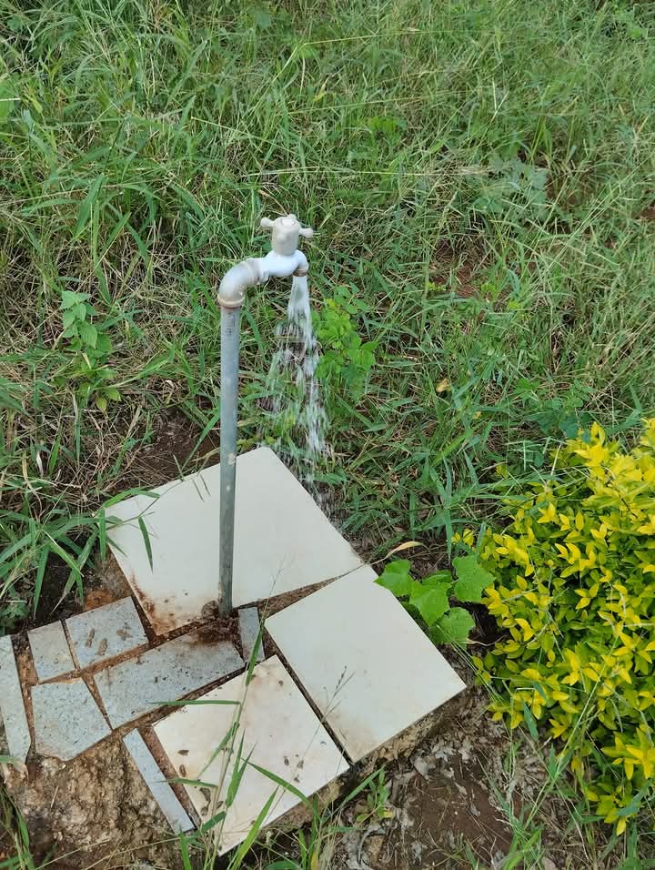 3 Bedroom Property for Sale in Makhuvha A Limpopo