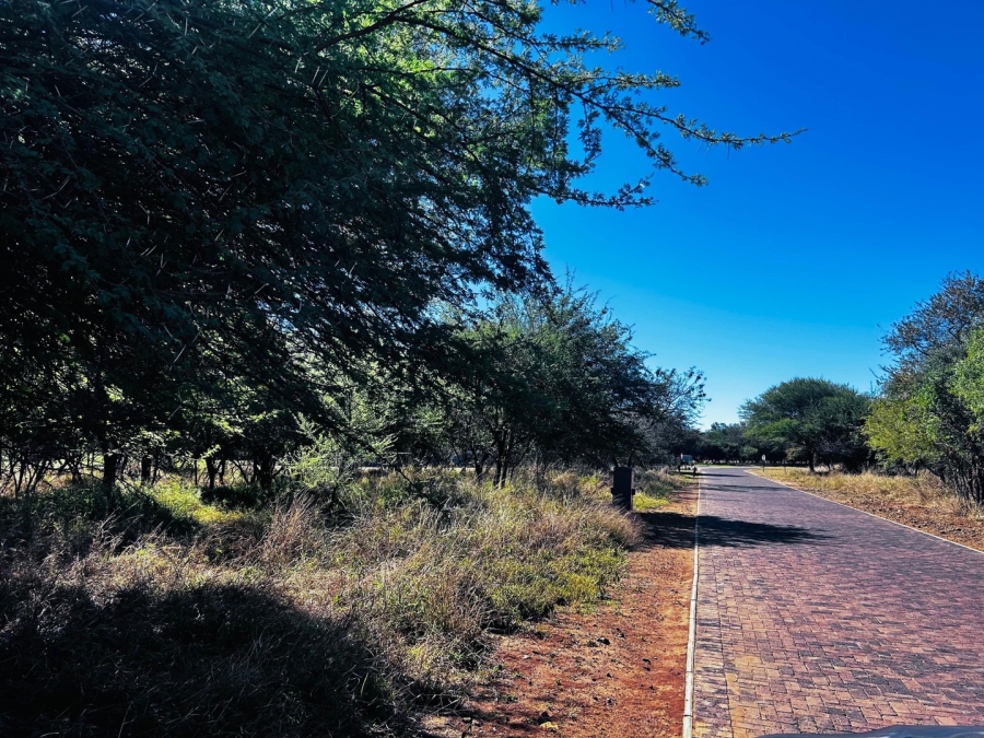 0 Bedroom Property for Sale in Chroompark Limpopo