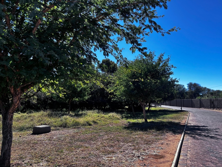 0 Bedroom Property for Sale in Chroompark Limpopo