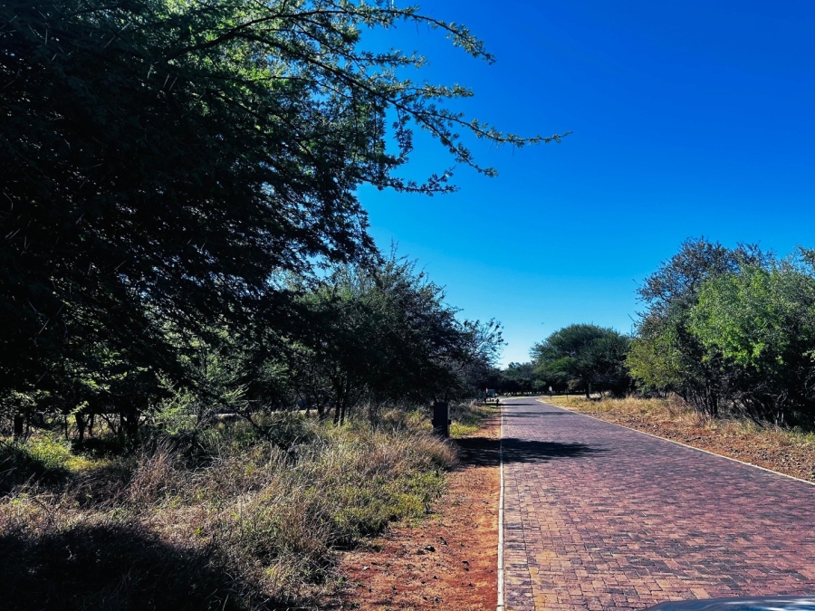 0 Bedroom Property for Sale in Chroompark Limpopo