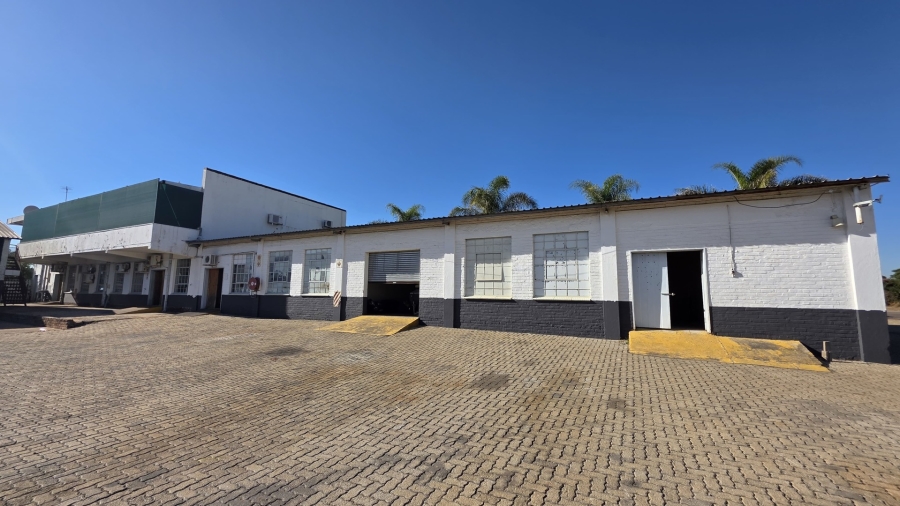 To Let commercial Property for Rent in Laboria Limpopo