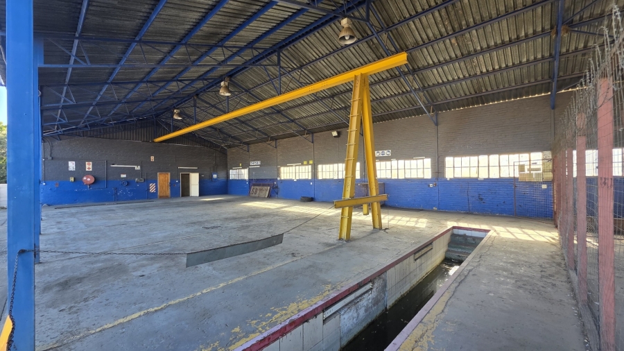 To Let commercial Property for Rent in Laboria Limpopo