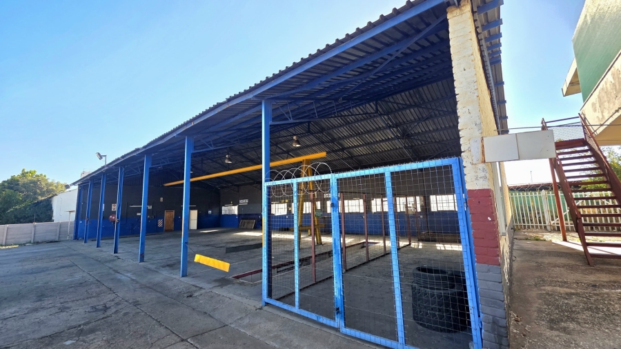 To Let commercial Property for Rent in Laboria Limpopo