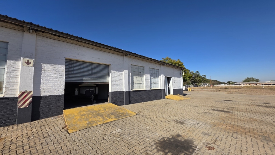 To Let commercial Property for Rent in Laboria Limpopo