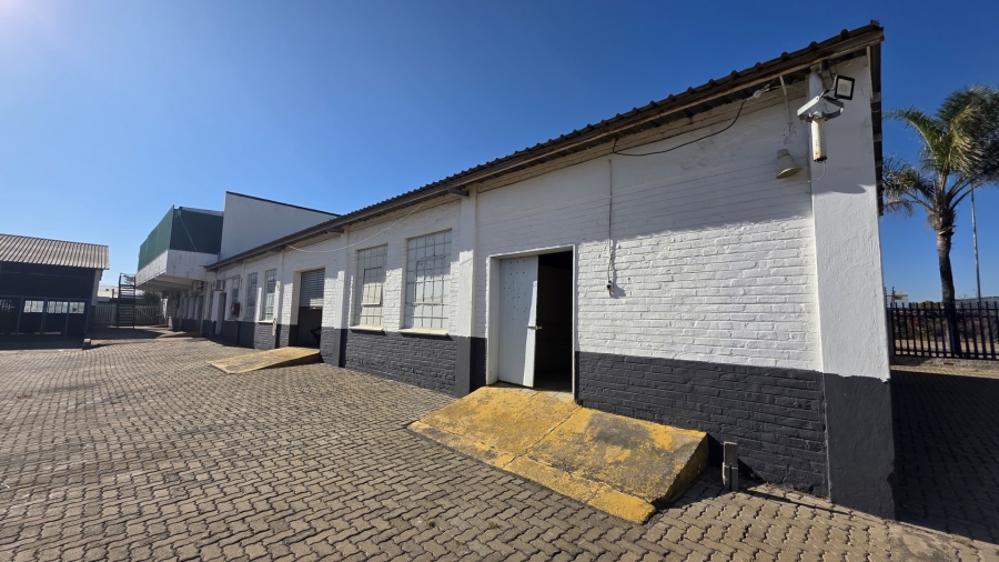 To Let commercial Property for Rent in Laboria Limpopo