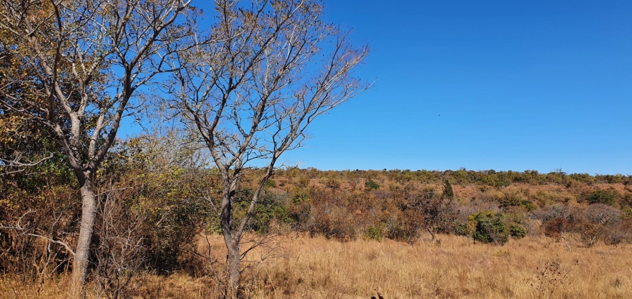 0 Bedroom Property for Sale in Nylsoog Wind and Eco Estate Limpopo