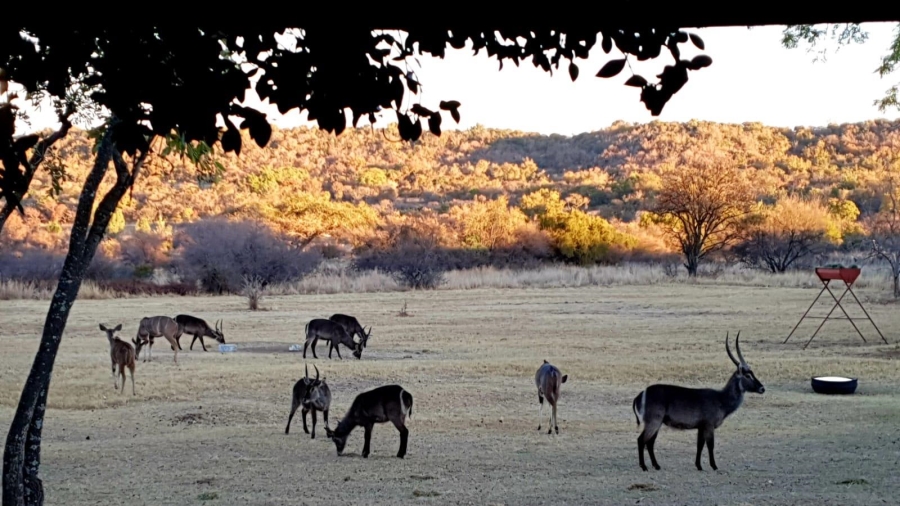 0 Bedroom Property for Sale in Nylsoog Wind and Eco Estate Limpopo