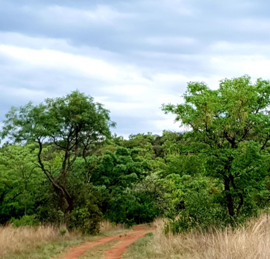0 Bedroom Property for Sale in Nylsoog Wind and Eco Estate Limpopo