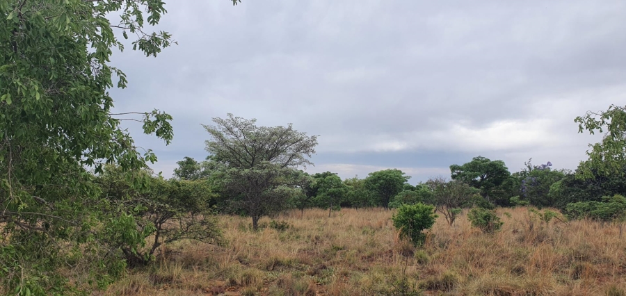 0 Bedroom Property for Sale in Nylsoog Wind and Eco Estate Limpopo