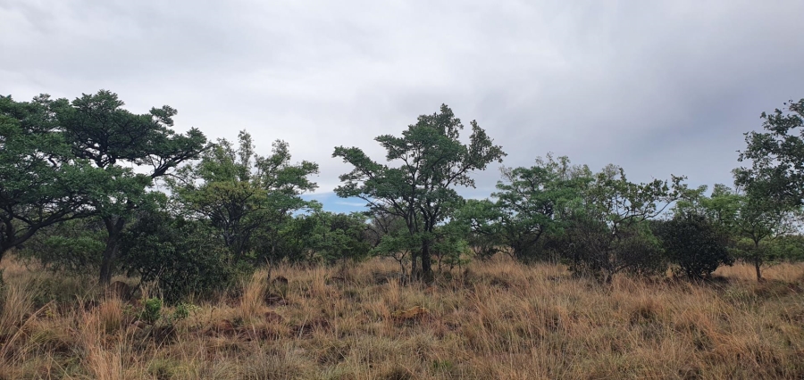 0 Bedroom Property for Sale in Nylsoog Wind and Eco Estate Limpopo