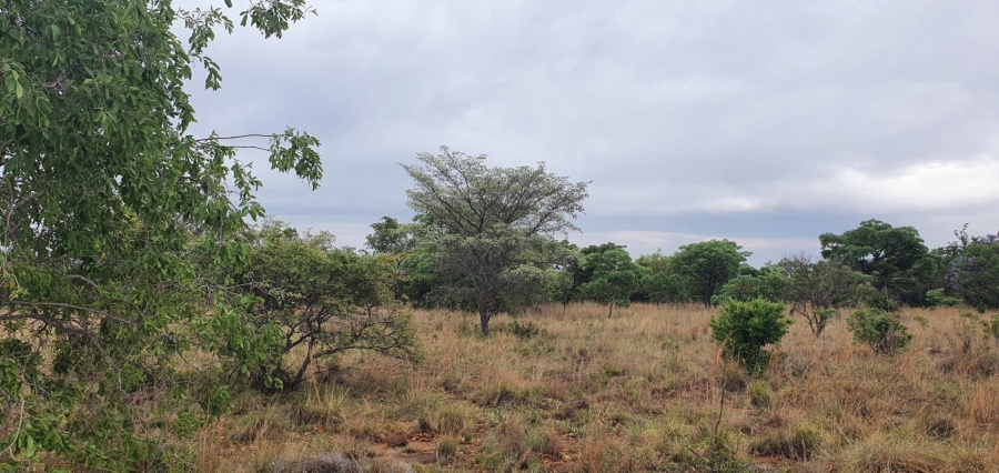 0 Bedroom Property for Sale in Nylsoog Wind and Eco Estate Limpopo