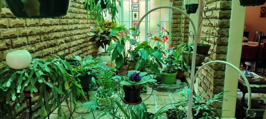 3 Bedroom Property for Sale in Bendor Limpopo