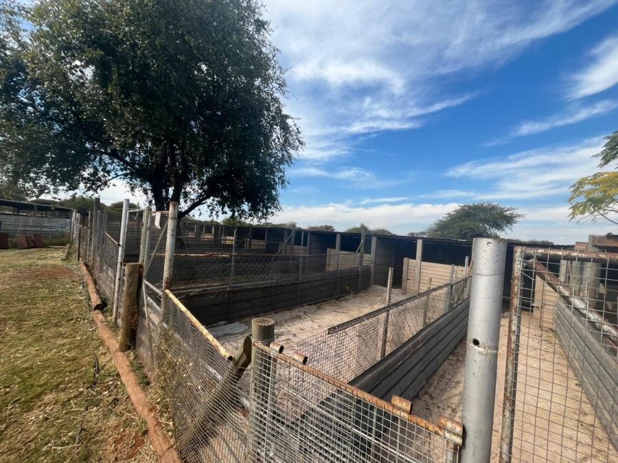 12 Bedroom Property for Sale in Bela Bela Limpopo