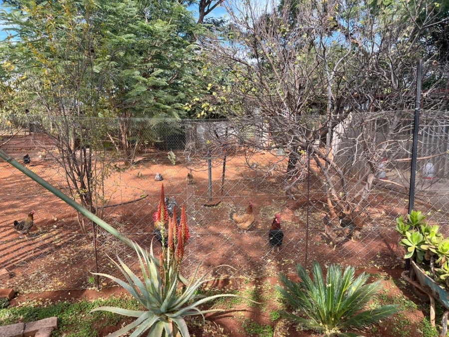 12 Bedroom Property for Sale in Bela Bela Limpopo