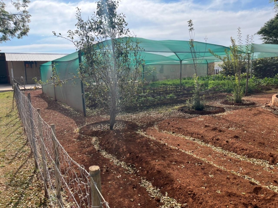 12 Bedroom Property for Sale in Bela Bela Limpopo