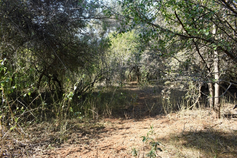 3 Bedroom Property for Sale in Blyde Wildlife Estate Limpopo