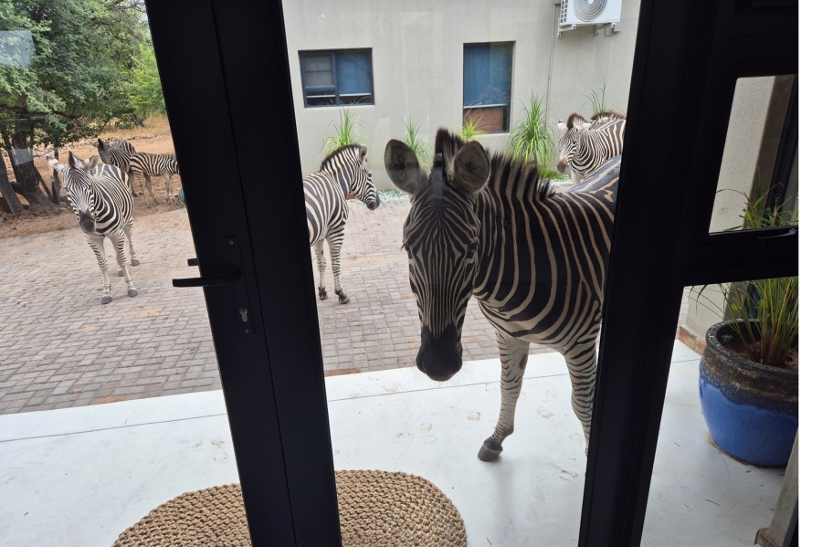 3 Bedroom Property for Sale in Blyde Wildlife Estate Limpopo