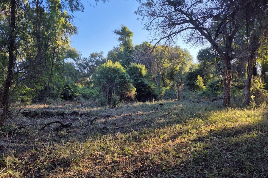 3 Bedroom Property for Sale in Blyde Wildlife Estate Limpopo