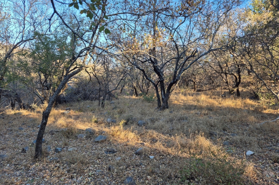 3 Bedroom Property for Sale in Blyde Wildlife Estate Limpopo
