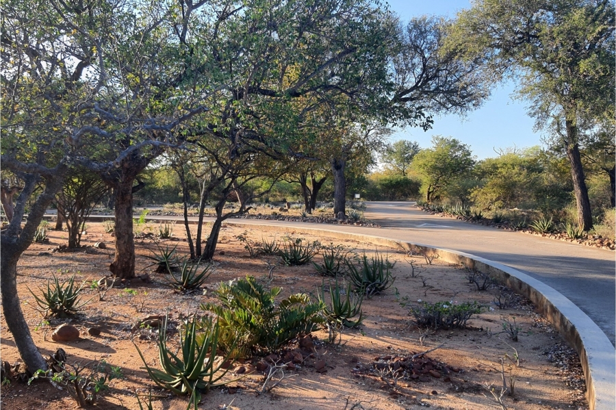 3 Bedroom Property for Sale in Blyde Wildlife Estate Limpopo