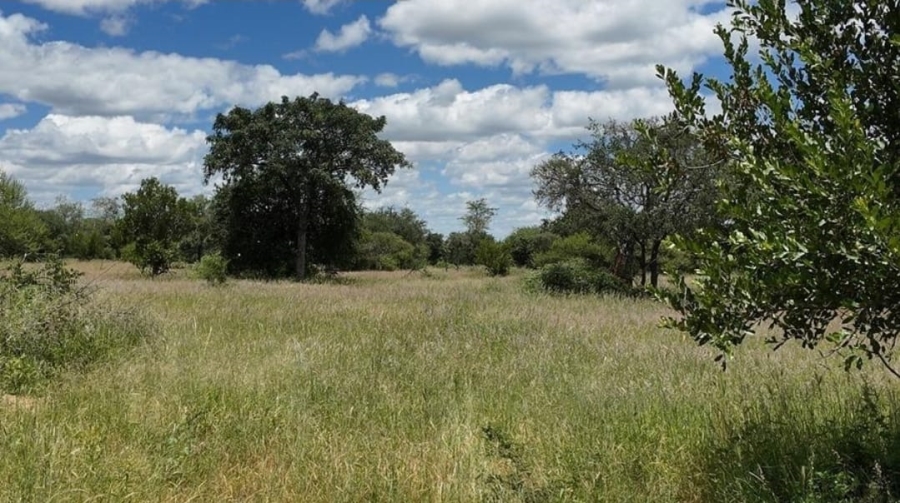 20 Bedroom Property for Sale in Tom Burke Limpopo