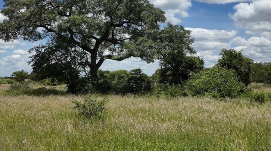 20 Bedroom Property for Sale in Tom Burke Limpopo