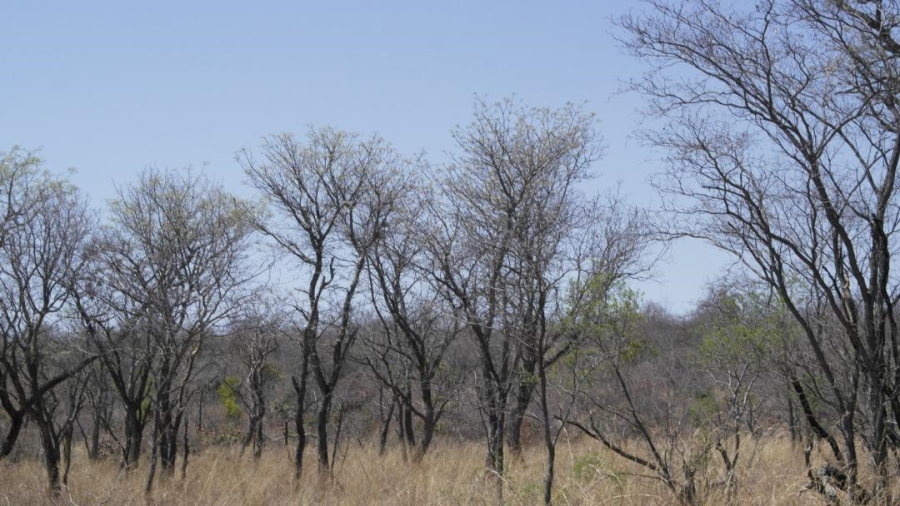 0 Bedroom Property for Sale in Mookgopong Limpopo