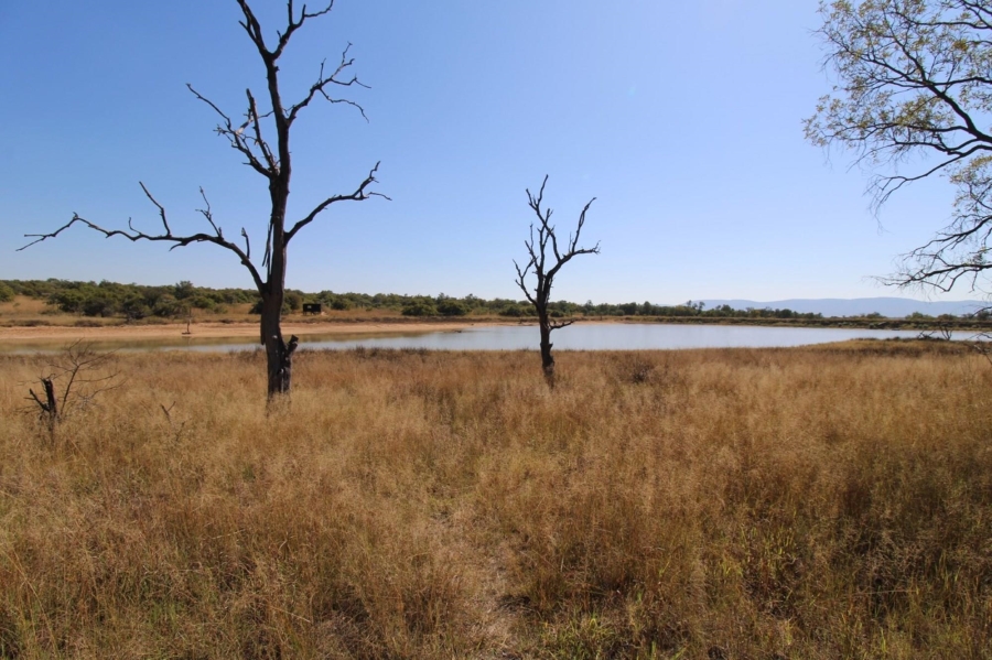 7 Bedroom Property for Sale in Zebula Golf Estate Limpopo