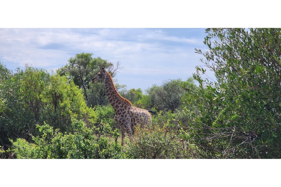 4 Bedroom Property for Sale in Bela Bela Limpopo