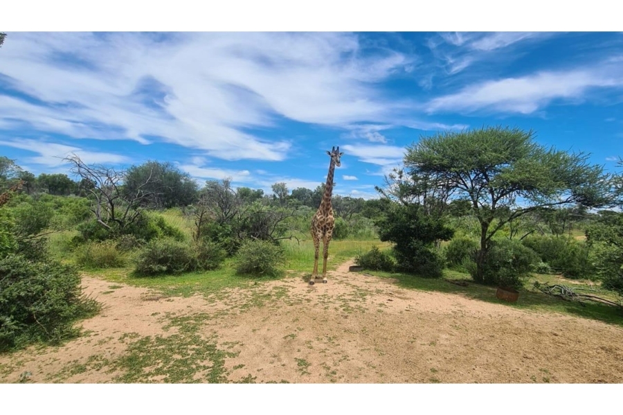 4 Bedroom Property for Sale in Bela Bela Limpopo