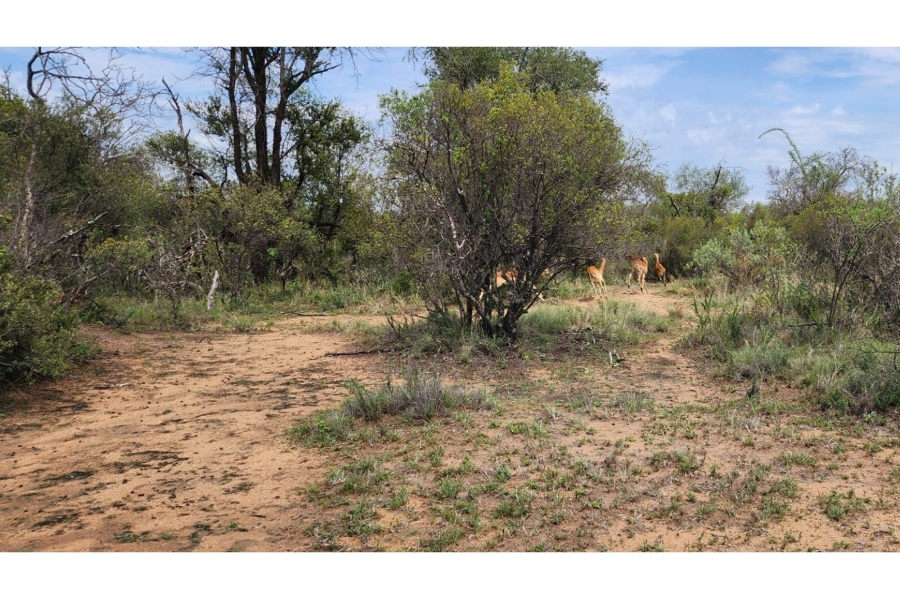4 Bedroom Property for Sale in Bela Bela Limpopo