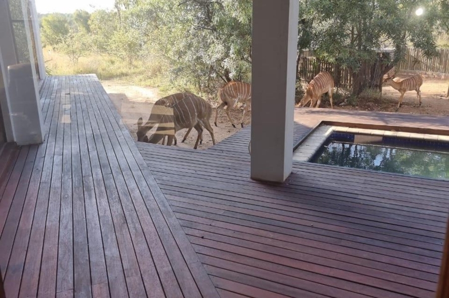 4 Bedroom Property for Sale in Bela Bela Limpopo