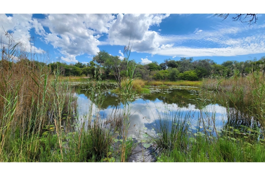 4 Bedroom Property for Sale in Intaba Indle Wilderness Estate Limpopo