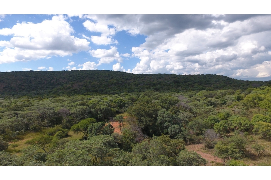 4 Bedroom Property for Sale in Intaba Indle Wilderness Estate Limpopo
