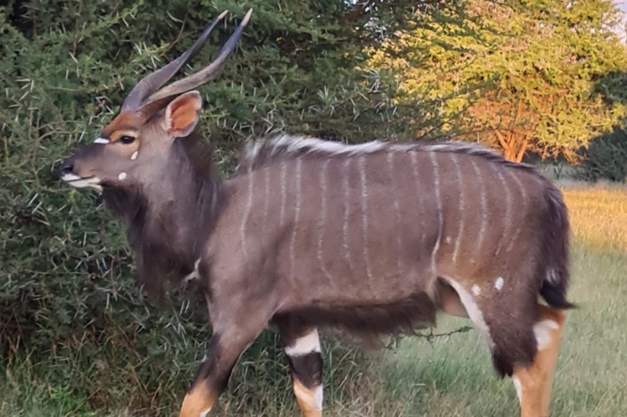 4 Bedroom Property for Sale in Intaba Indle Wilderness Estate Limpopo