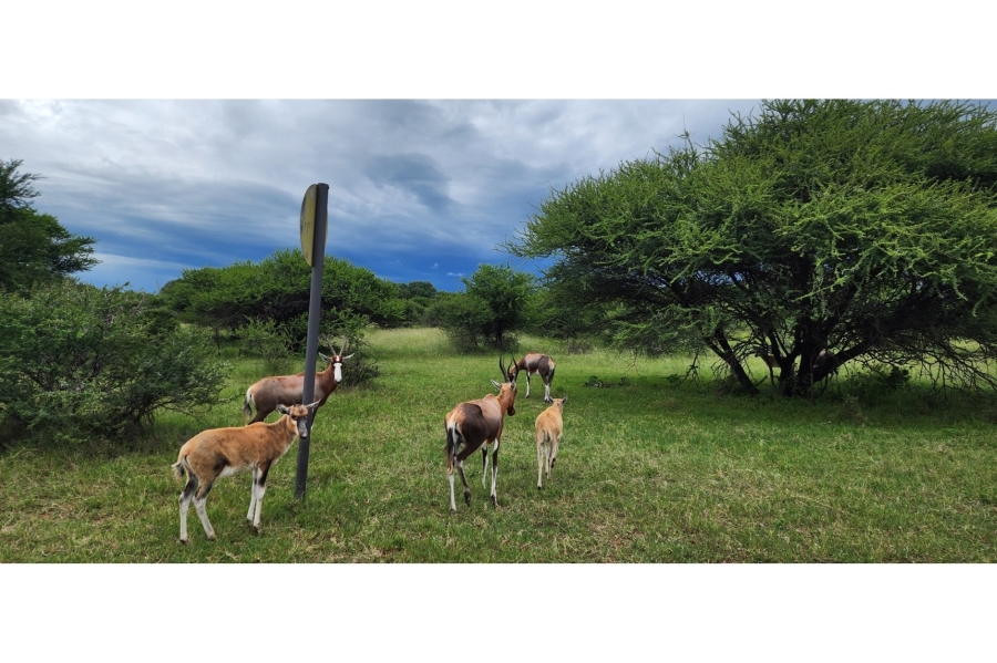4 Bedroom Property for Sale in Intaba Indle Wilderness Estate Limpopo