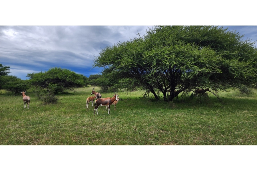4 Bedroom Property for Sale in Intaba Indle Wilderness Estate Limpopo