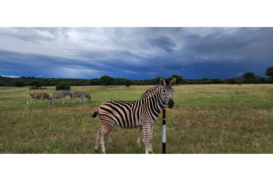 4 Bedroom Property for Sale in Intaba Indle Wilderness Estate Limpopo