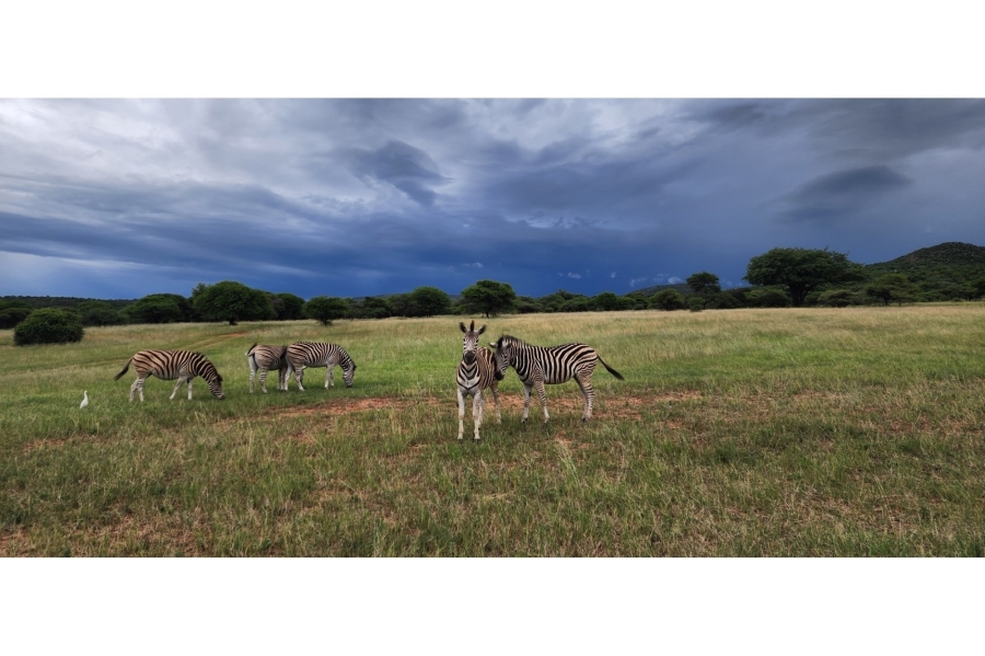 4 Bedroom Property for Sale in Intaba Indle Wilderness Estate Limpopo