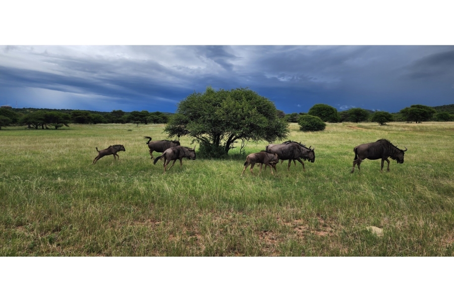 4 Bedroom Property for Sale in Intaba Indle Wilderness Estate Limpopo