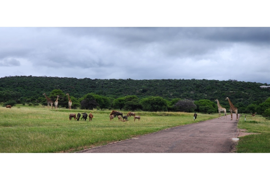 4 Bedroom Property for Sale in Intaba Indle Wilderness Estate Limpopo